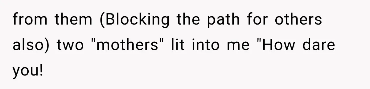 from them (Blocking the path for others also) two "mothers" lit into me "How dare you!