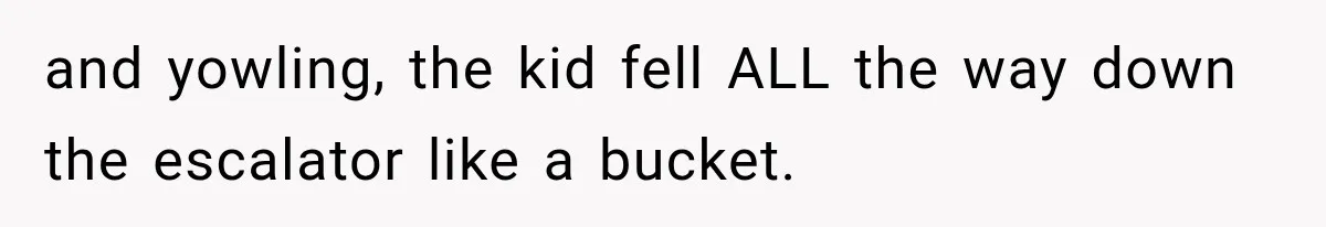 and yowling, the kid fell ALL the way down the escalator like a bucket.