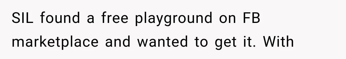 SIL found a free playground on FB marketplace and wanted to get it. With