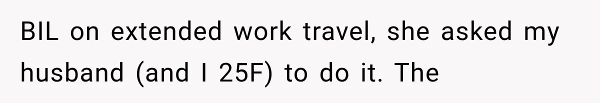 BIL on extended work travel, she asked my husband (and I 25F) to do it. The