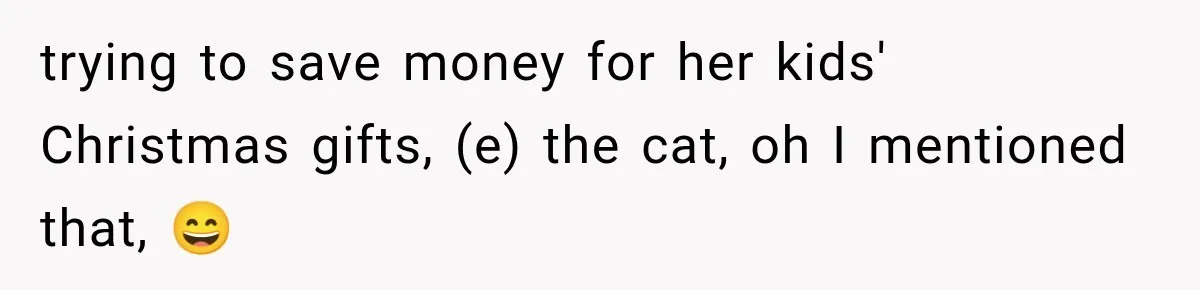 trying to save money for her kids' Christmas gifts, (e) the cat, oh I mentioned that, 😄