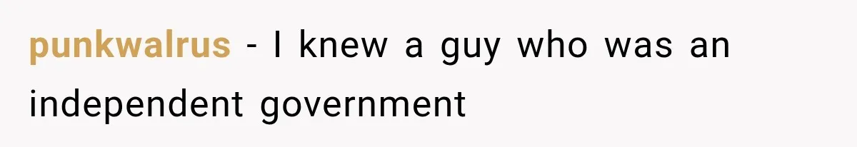 punkwalrus − I knew a guy who was an independent government