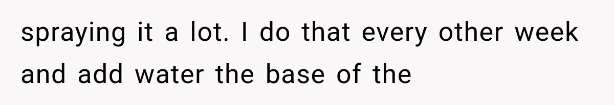 spraying it a lot. I do that every other week and add water the base of the
