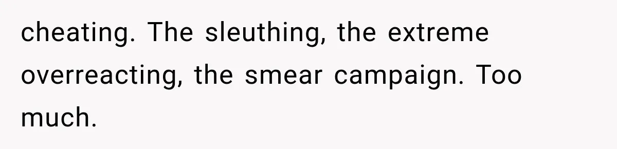 cheating. The sleuthing, the extreme overreacting, the smear campaign. Too much.