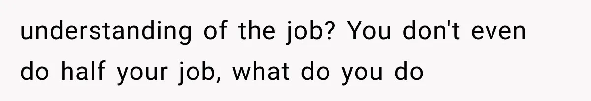 understanding of the job? You don't even do half your job, what do you do
