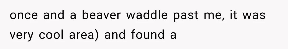 once and a beaver waddle past me, it was very cool area) and found a