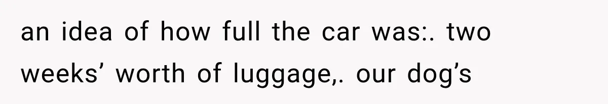 Sister Gets A Free Ride To The Beach, Then Her Entitlement Ends The Entire Trip an idea of how full the car was:. two weeks’ worth of luggage,. our dog’s
