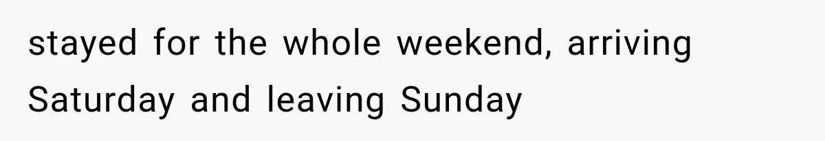 She Invited Her Best Friend To Celebrate Her Dream Home, But He Left Only Criticism Behind stayed for the whole weekend, arriving Saturday and leaving Sunday