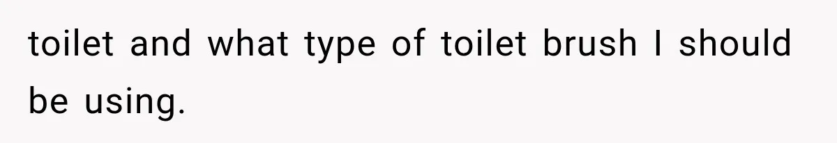 She Invited Her Best Friend To Celebrate Her Dream Home, But He Left Only Criticism Behind toilet and what type of toilet brush I should be using.