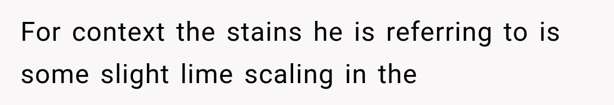 She Invited Her Best Friend To Celebrate Her Dream Home, But He Left Only Criticism Behind For context the stains he is referring to is some slight lime scaling in the