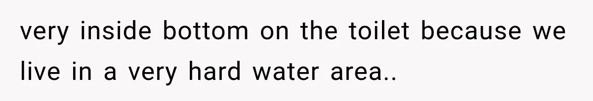 She Invited Her Best Friend To Celebrate Her Dream Home, But He Left Only Criticism Behind very inside bottom on the toilet because we live in a very hard water area..