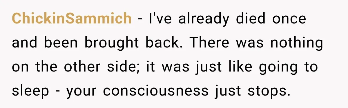 ChickinSammich − I've already died once and been brought back. There was nothing on the other side; it was just like going to sleep - your consciousness just stops.