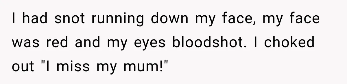 I had snot running down my face, my face was red and my eyes bloodshot. I choked out "I miss my mum!"