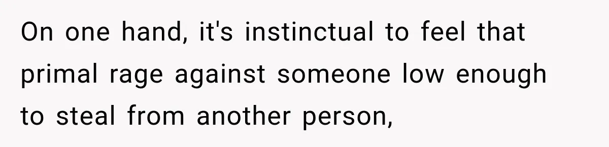 On one hand, it's instinctual to feel that primal rage against someone low enough to steal from another person,