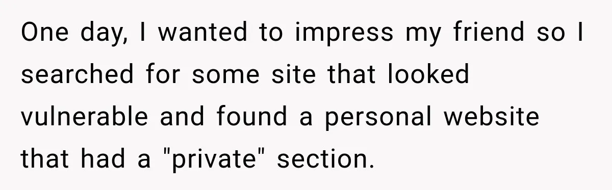 One day, I wanted to impress my friend so I searched for some site that looked vulnerable and found a personal website that had a "private" section.