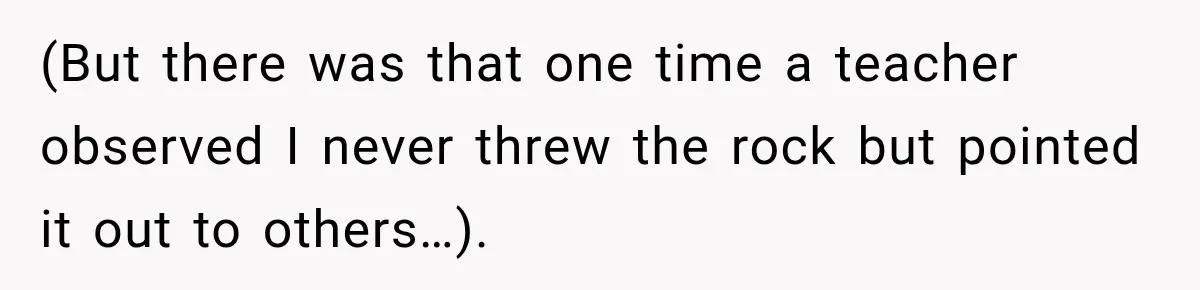(But there was that one time a teacher observed I never threw the rock but pointed it out to others…).