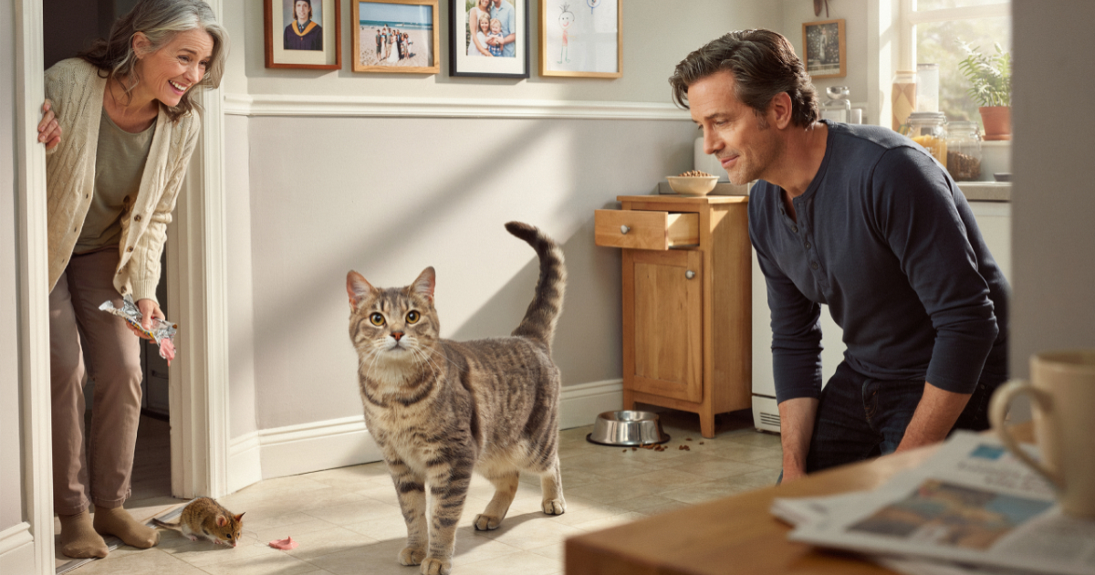 Elderly Cat Learns He Can “Trick” His Owners, But They Secretly Let Him Win Elderly Cat Learns He Can “Trick” His Owners, But They Secretly Let Him Win