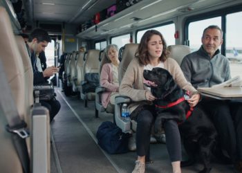 Woman Ignores A Service Dog On A Shuttle Until The Dog Reveals Something Unexpected