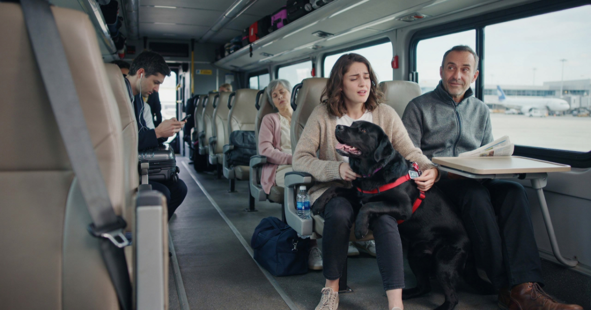 Woman Ignores A Service Dog On A Shuttle Until The Dog Reveals Something Unexpected