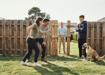 Neighbor Cuts Down Shared Privacy Fence to Expose Her Lawn, Then Gets Forced to Replace the Whole Thing