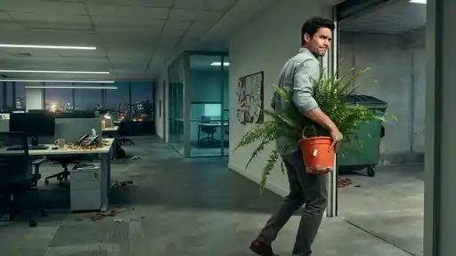 She Threw Away Her Coworker’s Giant Desk Fern and Let the Boss Take the Blame for Three Months