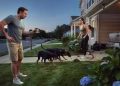 My Neighbor Let Her Dogs Poop in My Yard—So I Started Throwing My Own Poop Back