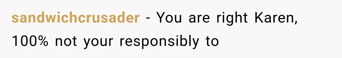 sandwichcrusader − You are right Karen, 100% not your responsibly to