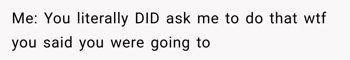 Me: You literally DID ask me to do that wtf you said you were going to
