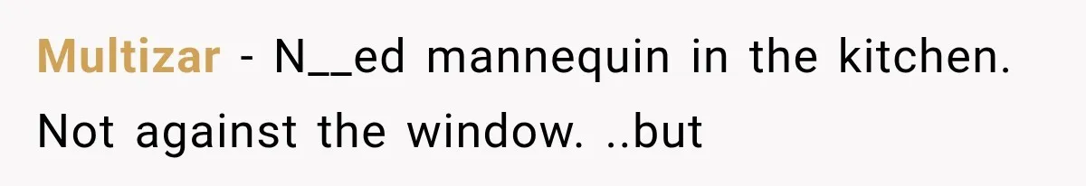 Neighbor Complained About Seeing Into Their Home, So The New Homeowner Had The Perfect Response Multizar − N__ed mannequin in the kitchen. Not against the window. ..but