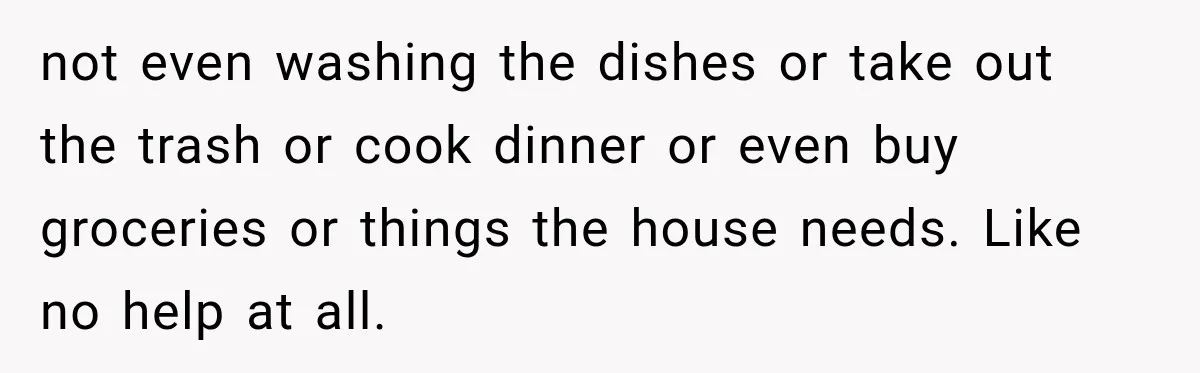not even washing the dishes or take out the trash or cook dinner or even buy groceries or things the house needs. Like no help at all.