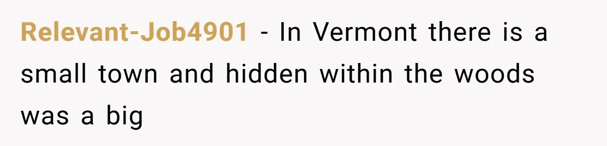 Relevant-Job4901 − In Vermont there is a small town and hidden within the woods was a big