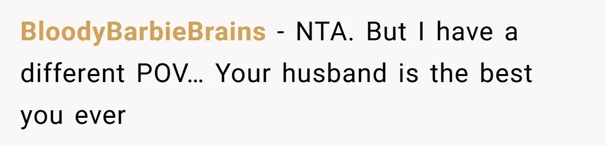 BloodyBarbieBrains − NTA. But I have a different POV… Your husband is the best you ever