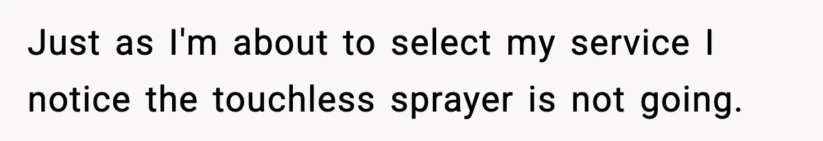 Just as I'm about to select my service I notice the touchless sprayer is not going.
