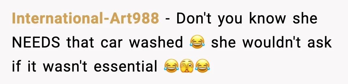 International-Art988 − Don't you know she NEEDS that car washed 😂 she wouldn't ask if it wasn't essential 😂🫣😂