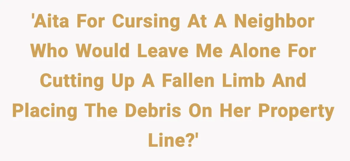 'AITA for cursing at a neighbor who would leave me alone for cutting up a fallen limb and placing the debris on her property line?'