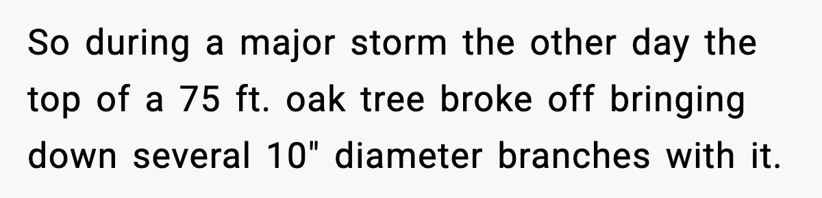 So during a major storm the other day the top of a 75 ft. oak tree broke off bringing down several 10" diameter branches with it.