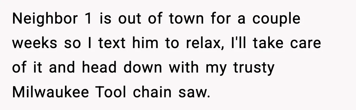 Neighbor 1 is out of town for a couple weeks so I text him to relax, I'll take care of it and head down with my trusty Milwaukee Tool chain...
