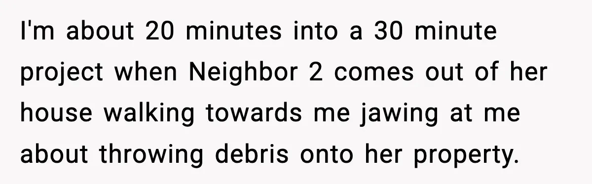 I'm about 20 minutes into a 30 minute project when Neighbor 2 comes out of her house walking towards me jawing at me about throwing debris onto her property.