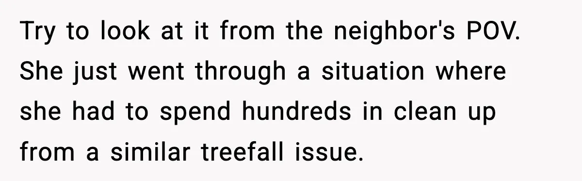 Try to look at it from the neighbor's POV. She just went through a situation where she had to spend hundreds in clean up from a similar treefall issue.