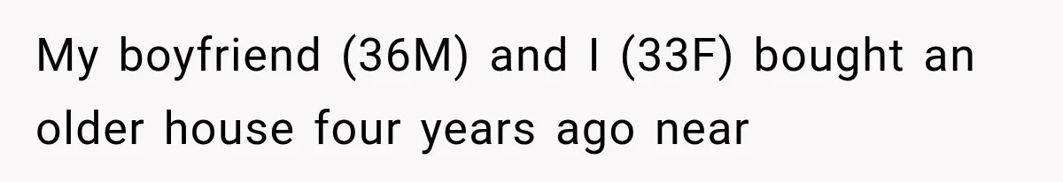 My boyfriend (36M) and I (33F) bought an older house four years ago near