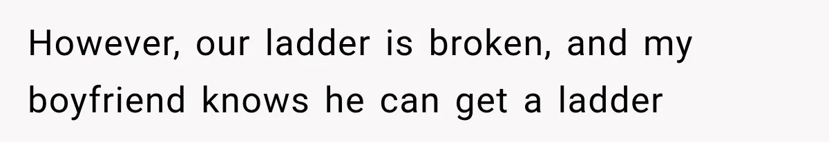 However, our ladder is broken, and my boyfriend knows he can get a ladder