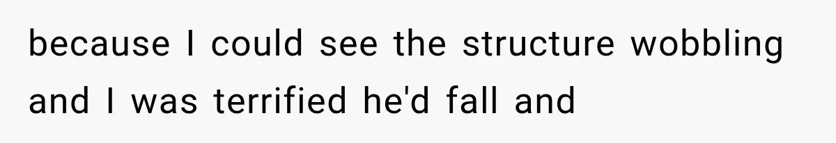 because I could see the structure wobbling and I was terrified he'd fall and