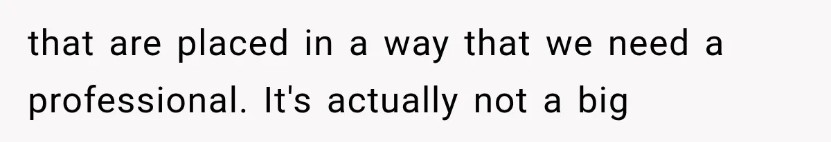 that are placed in a way that we need a professional. It's actually not a big