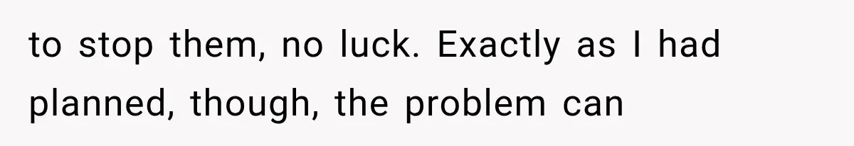 to stop them, no luck. Exactly as I had planned, though, the problem can