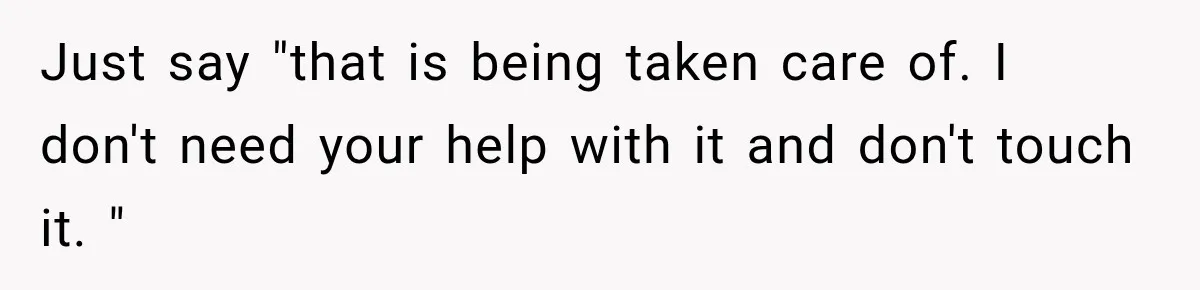 Just say "that is being taken care of. I don't need your help with it and don't touch it. "