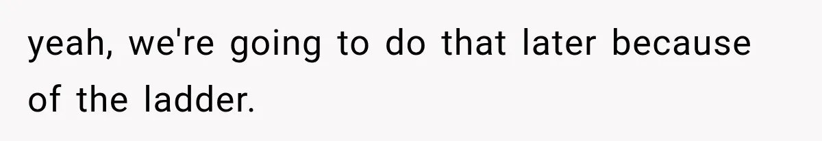 yeah, we're going to do that later because of the ladder.