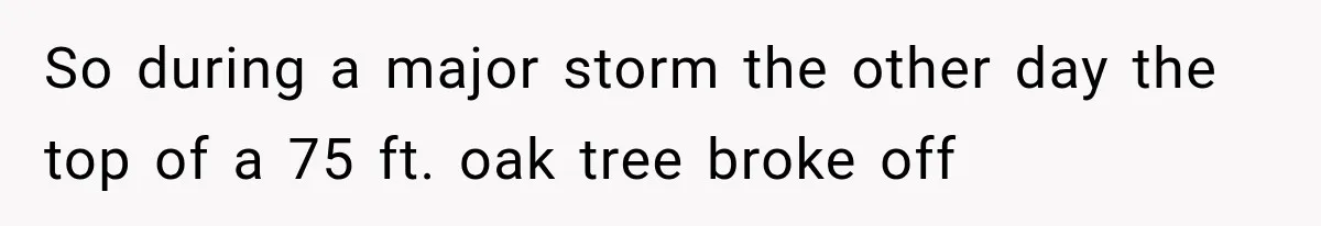 So during a major storm the other day the top of a 75 ft. oak tree broke off
