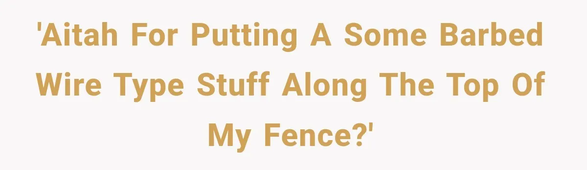 'AITAH for putting a some barbed wire type stuff along the top of my fence?'