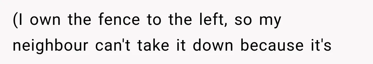 (I own the fence to the left, so my neighbour can't take it down because it's