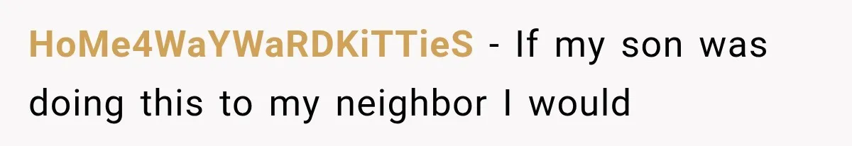 HoMe4WaYWaRDKiTTieS − If my son was doing this to my neighbor I would